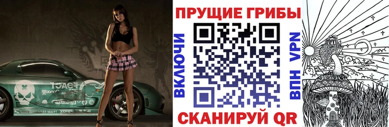 Псилоцибиновые грибы GOLDEN TEACHER  Сортавала 